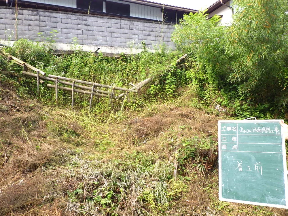 下仁田町 施工前