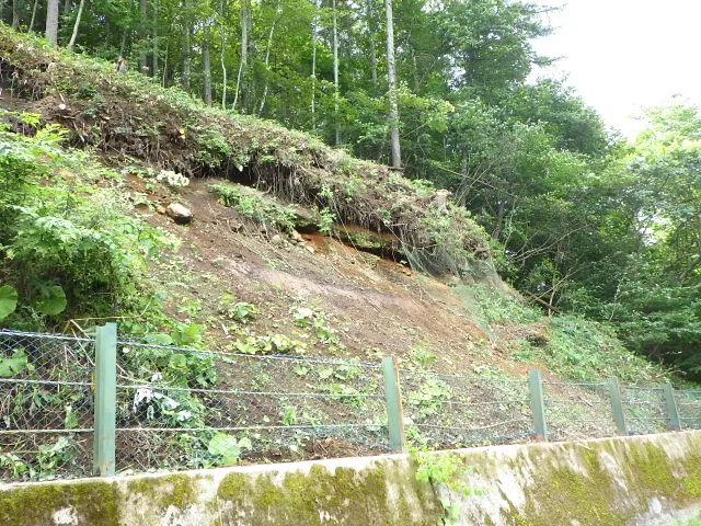 長野原町 - 植生工の実績