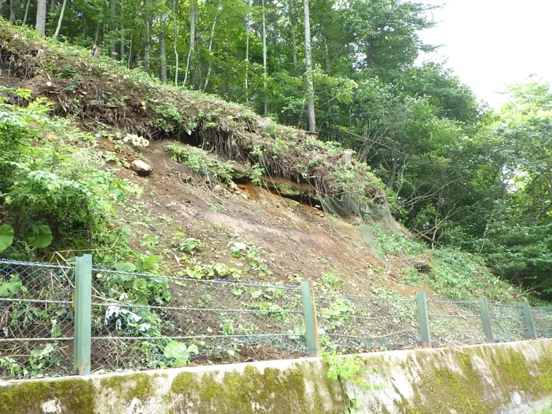 長野原町 施工前 1